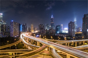 Interaction between Shanghai's agriculture and the global supply chain